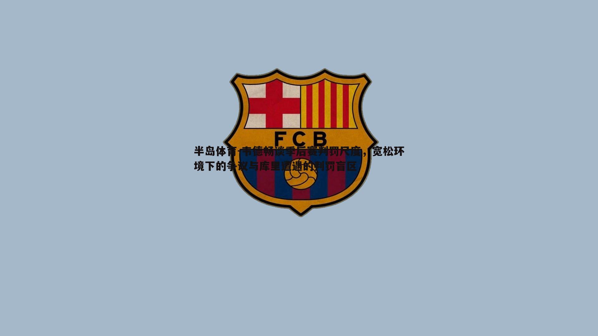 半岛体育-韦德畅谈季后赛判罚尺度，宽松环境下的争议与库里遭遇的判罚盲区